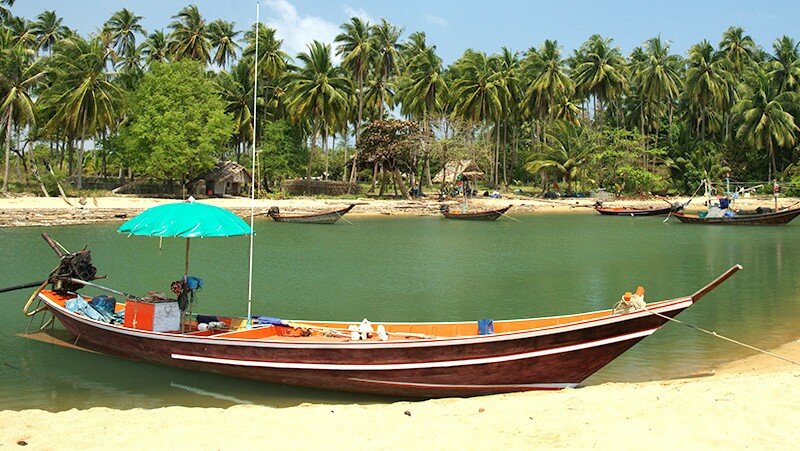 Fishing & Squid Trapping @ Night